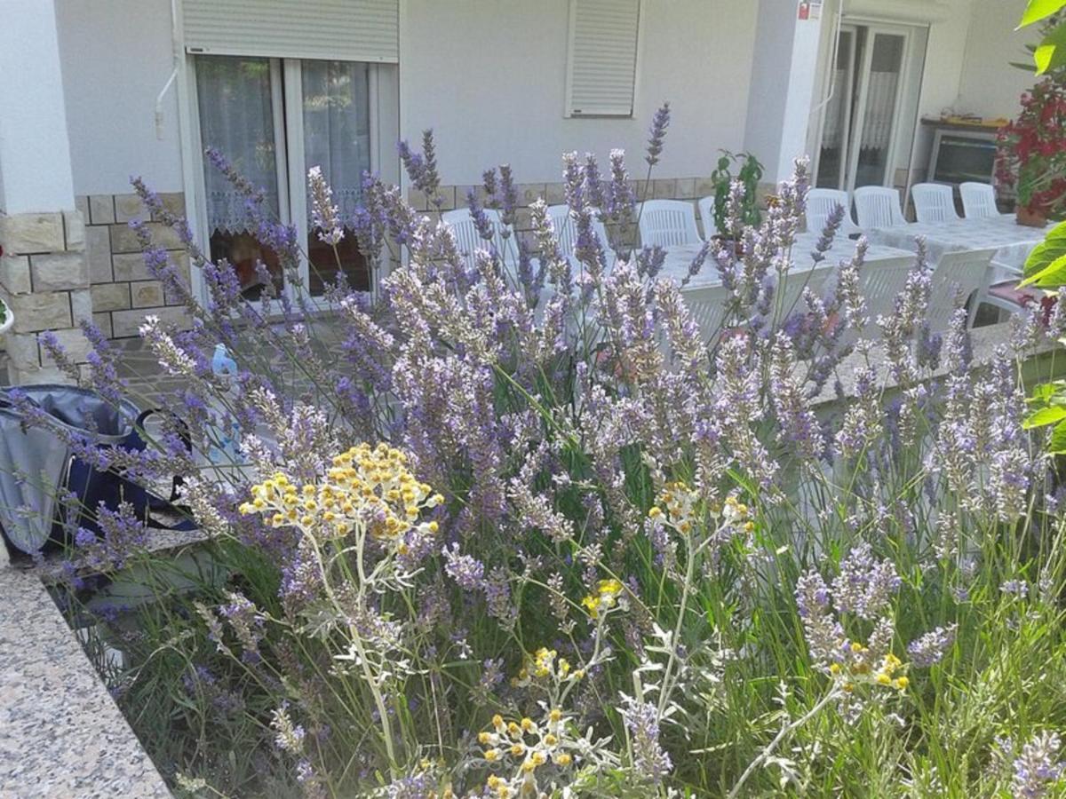 Lovely Meta Apartments Palit 外观 照片